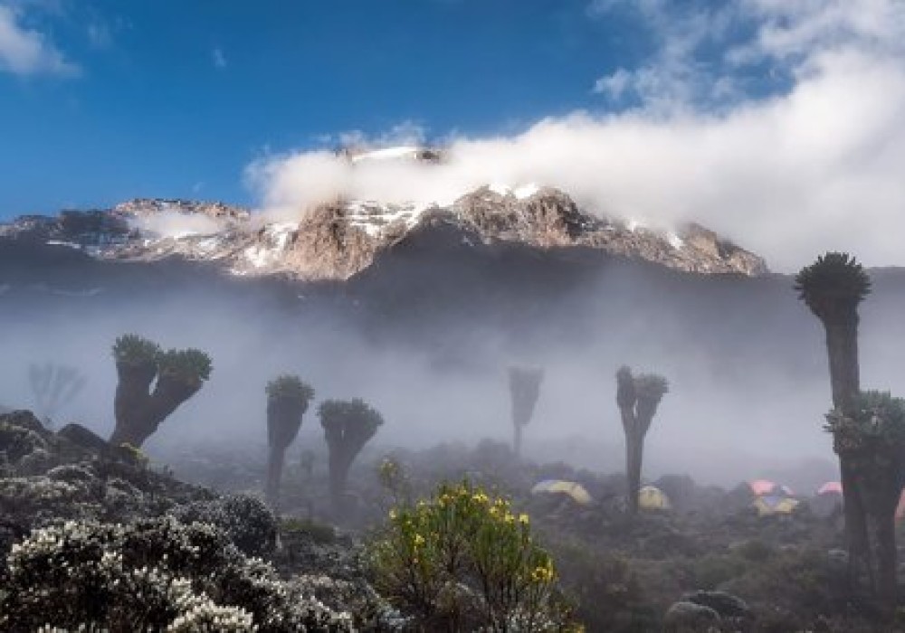 Kilimanjaro UMBWE ROUTE