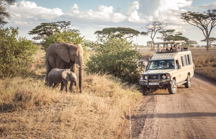 5 days Luxury safari