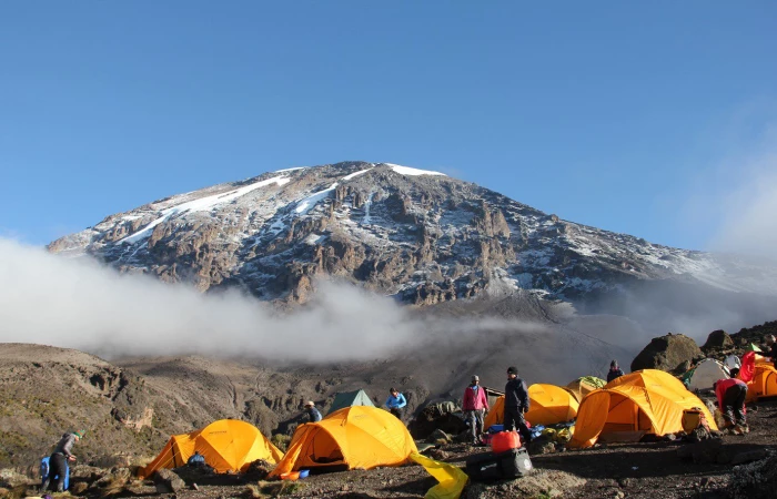King of mountain Lemosho Kilimanjaro trek Route