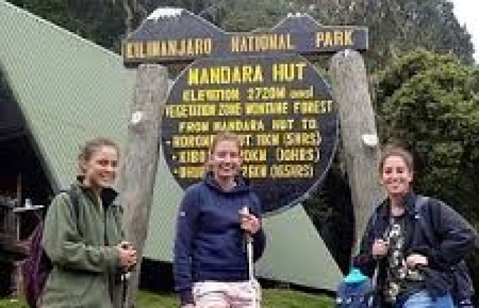 Day hike on Kilimanjaro mountain to Mandara