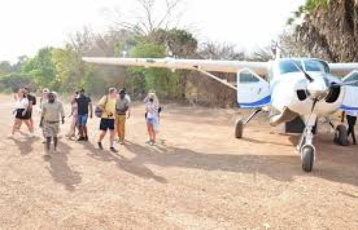 Daytrip to Nyerere/selous with flight and airport transfer