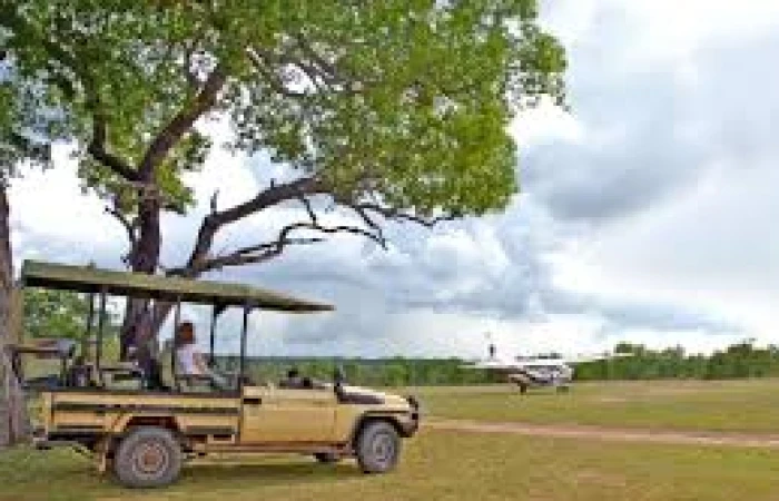 Daytrip to Nyerere/selous with flight and airport transfer