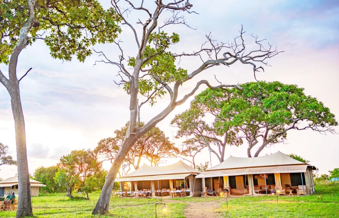 GREAT MIGRATION TANZANIA SAFARI PRIVATE