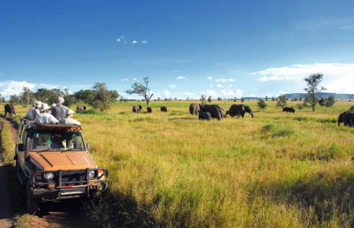 MAJESTIC LUXURY SAFARI FLY IN TO SERENGETI FROM ZANZIBAR