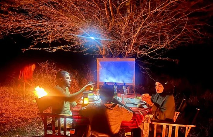 4 DAYS PRIVATE SAFARI FLY IN TO SERENGETI FROM ZANZIBAR