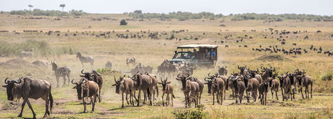 Each one driven by the same ancient rhythm,